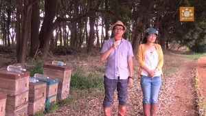 羽音のすごい巣箱