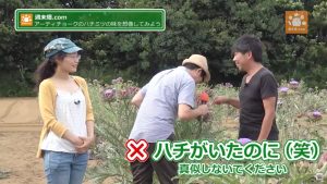 ミツバチに刺されそうな宮原さん