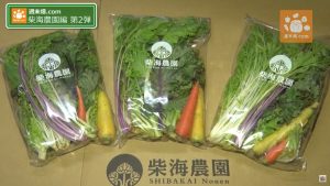 柴海さんのサラダセット