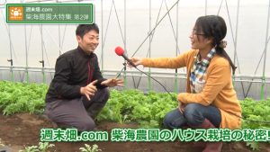 葉物野菜について説明する柴海さん