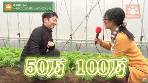 手間はなるべくかけない