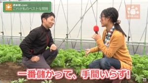 一番儲かり、手間いらず