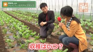 収穫までは長い