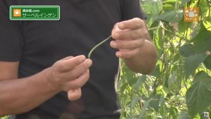 サイズが変わっても値段は同じ