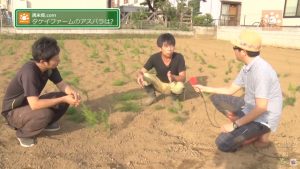 来年のことは考えない