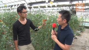 品種選びをこだわっているとコメント