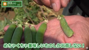 味を触って判断する武井さん。