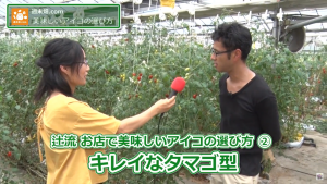 ポイントその２