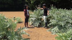 タケイファームには9種類存在する