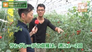 週に１～２日と答えた辻さん