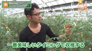 質問に答える辻さん