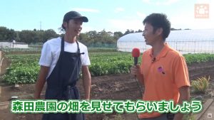 森田農園を見せてもらいます