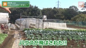 飛ばされてしまったハウス