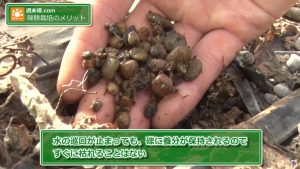 使われている砂利