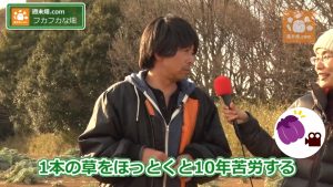 祖母からの言葉