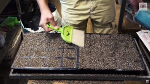 ハケで土を均等に