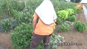 少々シュールな画