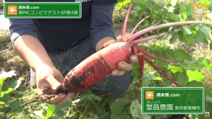 繁昌農園のカラフルな野菜