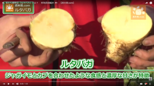 日本では珍しい味の不思議なカブ